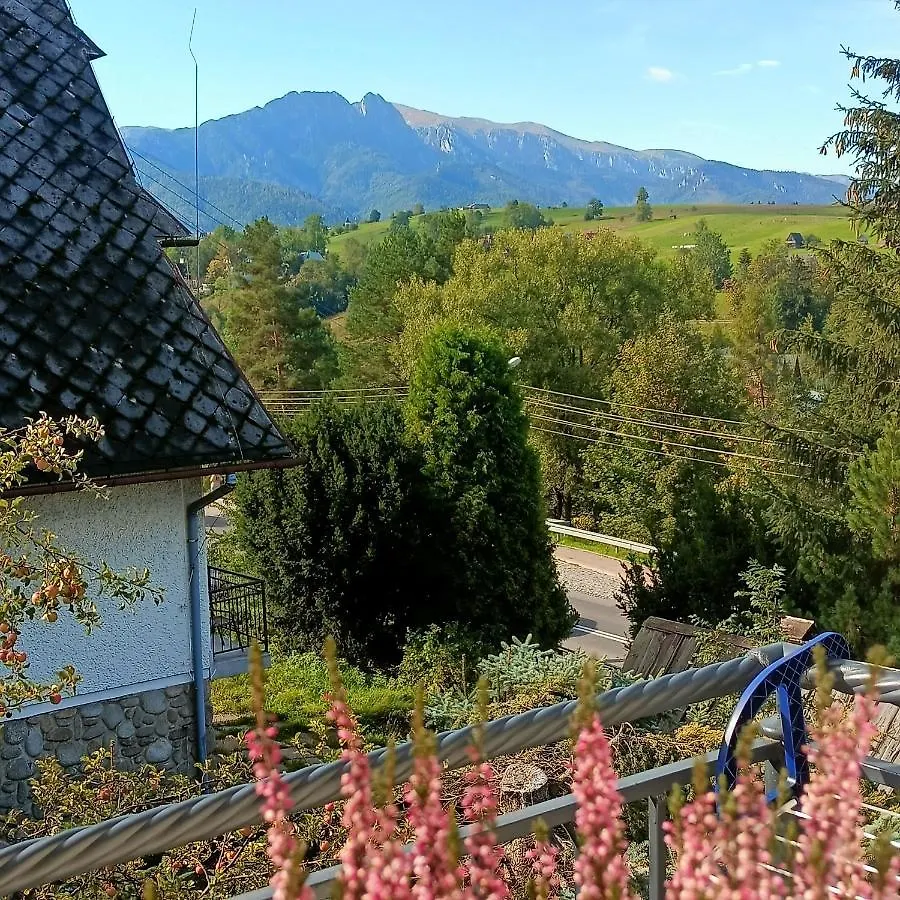 Lodowy Dom Apartment Zakopane Poland