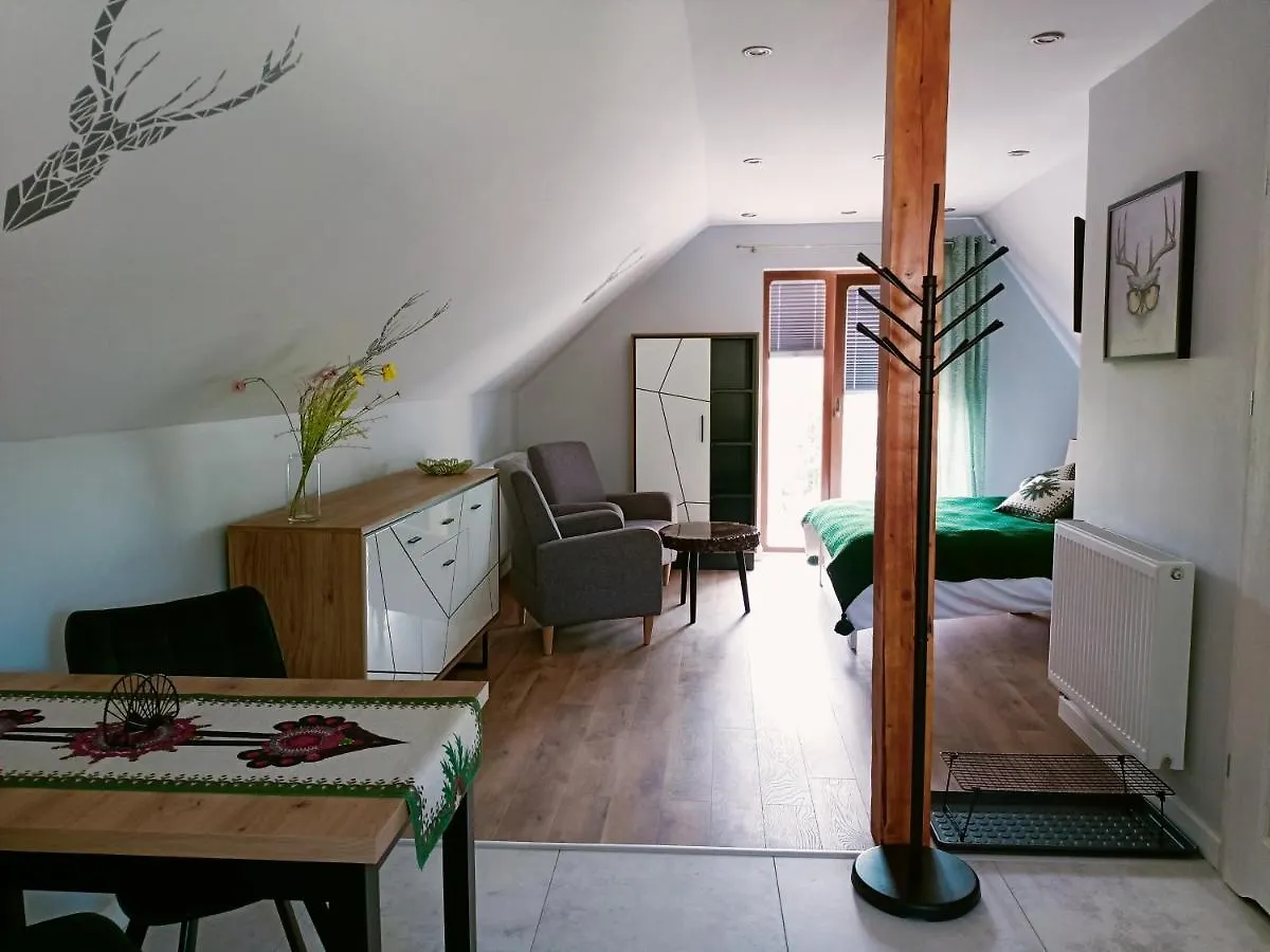 Lodowy Dom Apartment Zakopane